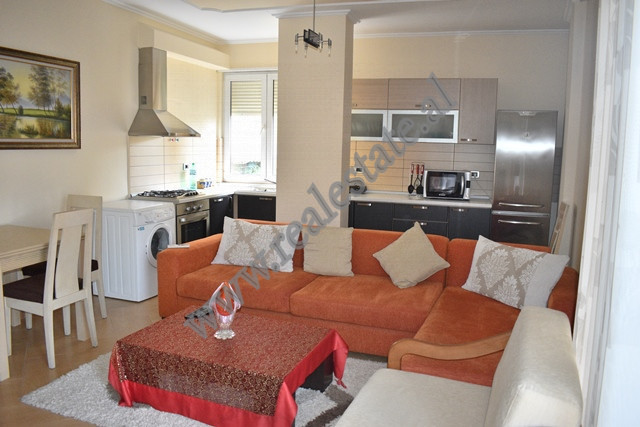 One bedroom apartment for rent in Pjeter Budi Street in Tirana, Albania (TRR-114-33b)